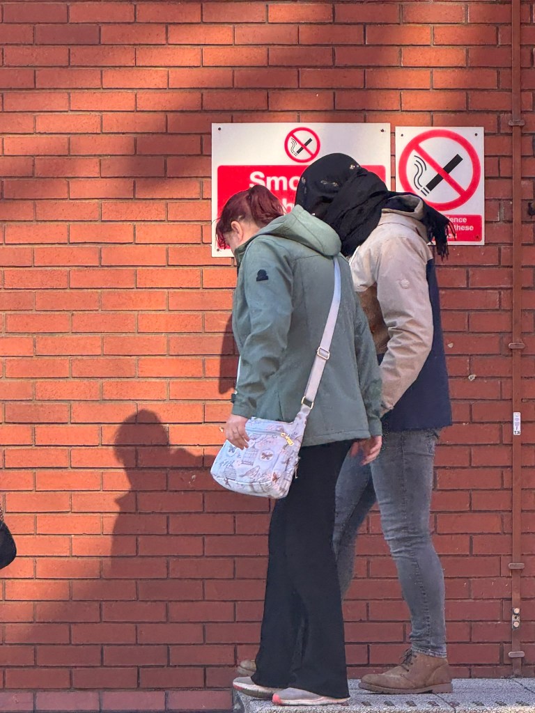 Teen faces sentencing after pleading guilty to trying sex act with Shetland pony