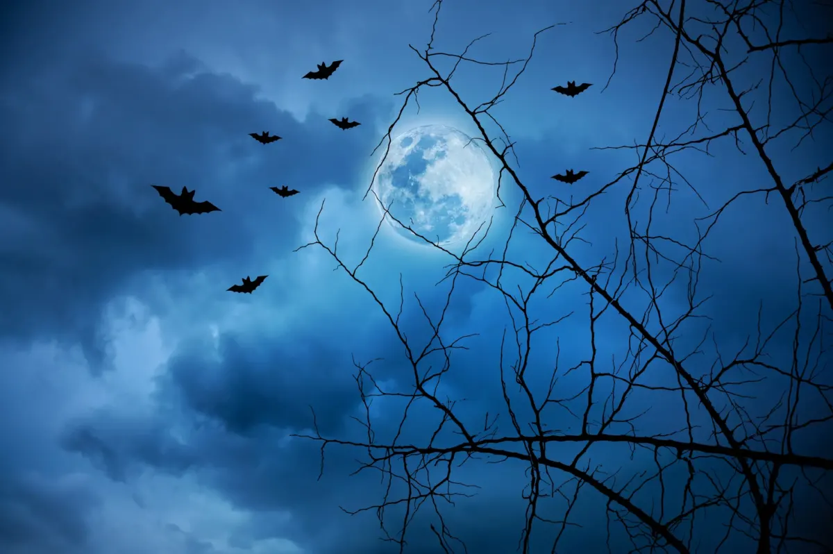 Chilling history of the 'most haunted road in the world' just 50 minutes from NYC