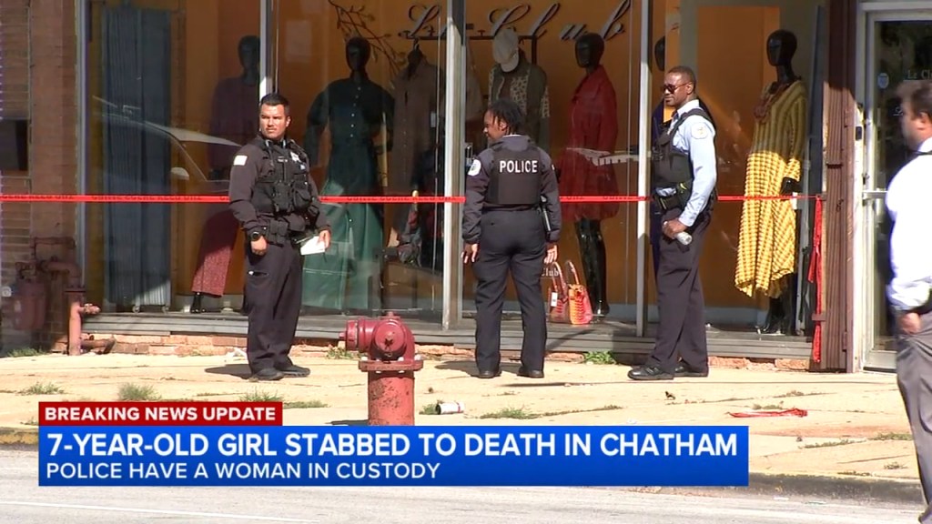 7-year-old Chicago girl stabbed to death in the street by unhinged stranger
