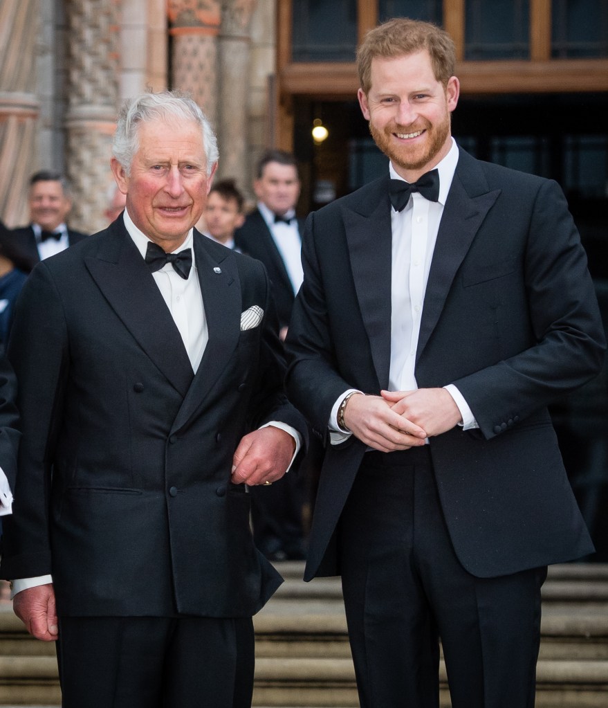 Prince Harry booed during surprise low-key appearance at UK rugby match