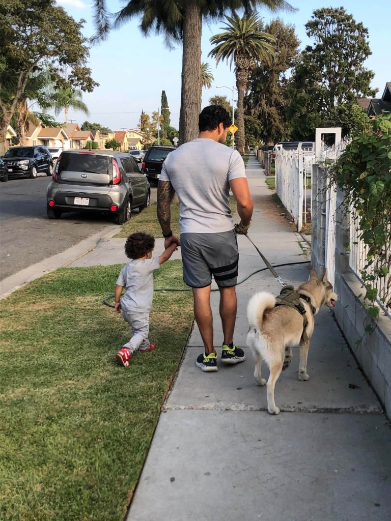 Horror as beloved family dog is found hanged by his leash in alley outside their Los Angeles home
