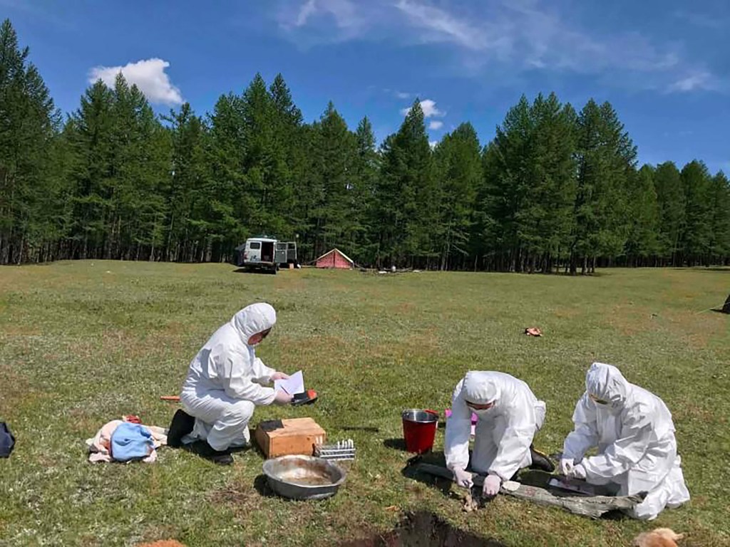 Trump scheduling call with Putin amid Russian plague shock: ‘Very deep discussions’