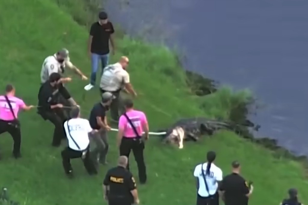 Harrowing new details emerge in death of Florida fisherman savaged by 12-foot alligator on banks of popular lake