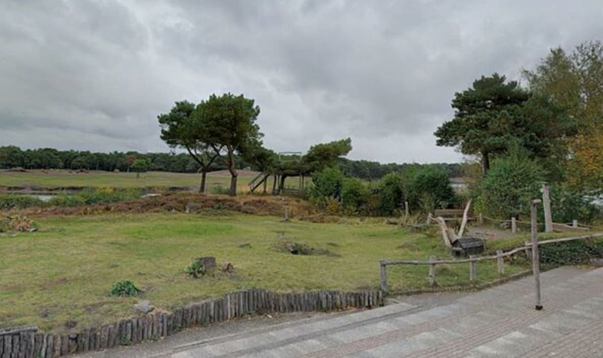 Zookeeper dies after leopard savagely mauls her inside animal enclosure