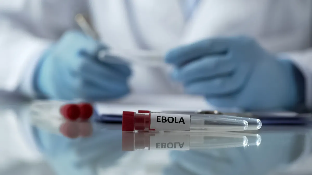 Deadly Ebola outbreak which is 'fastest-spreading epidemic on record' could reach UK, experts warn