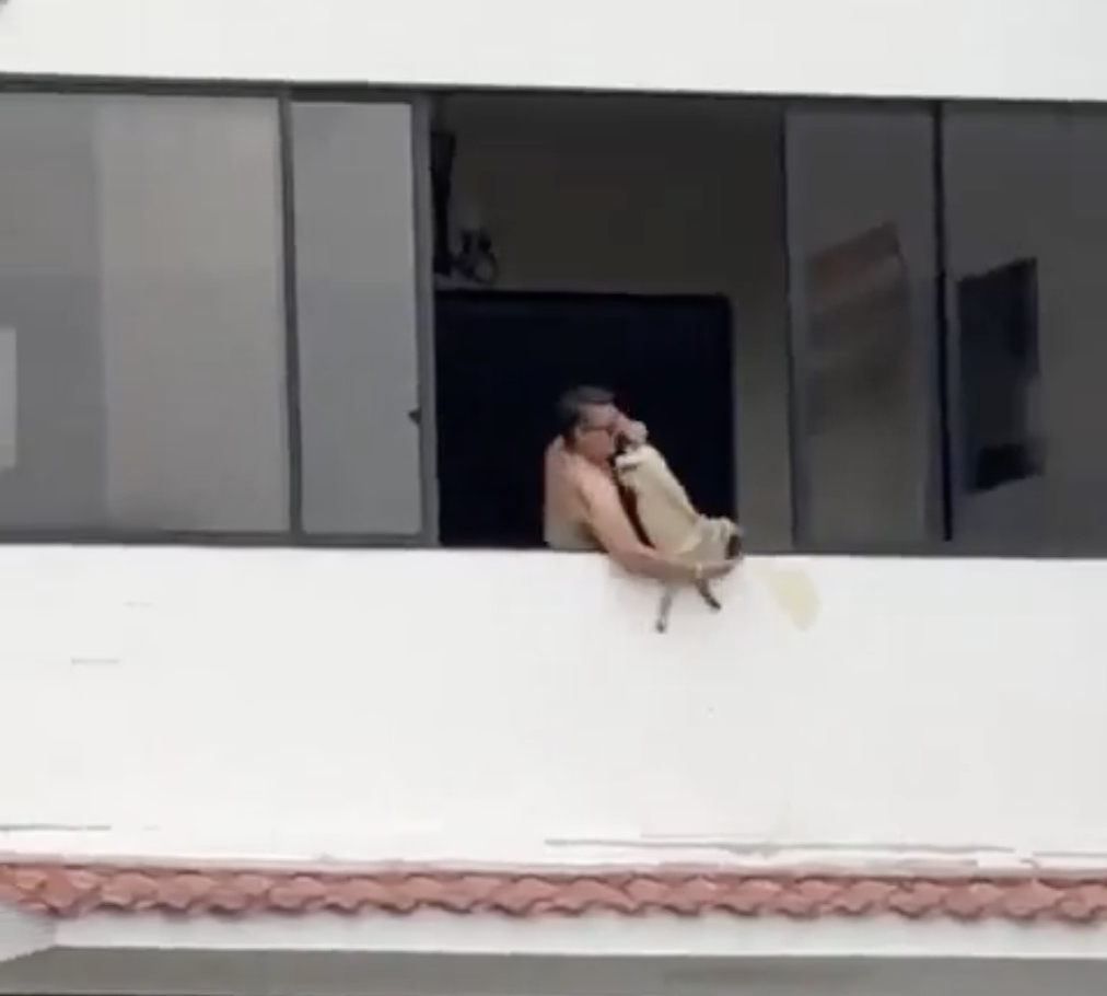 Ex-soccer player arrested for allegedly dangling pug by leg off balcony