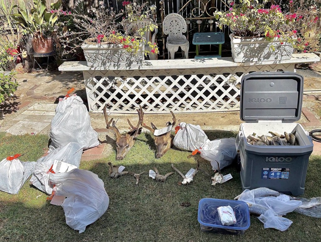 California poaching suspect reeled in staggering amount of black bass in massive wildlife bust