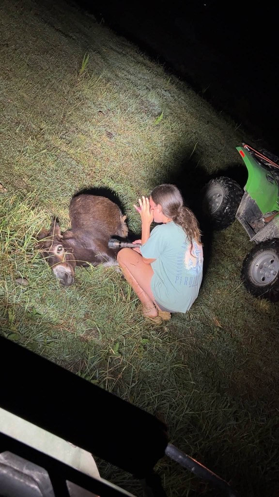 Bodycam footage shows moment Georgia cop shoots beloved donkey HeeHaw
