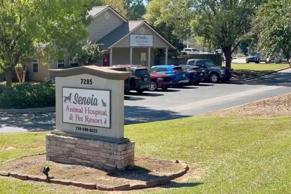 Georgia dog lovers paid to put sick pup down, then found him alive and well months later — what came next was even worse