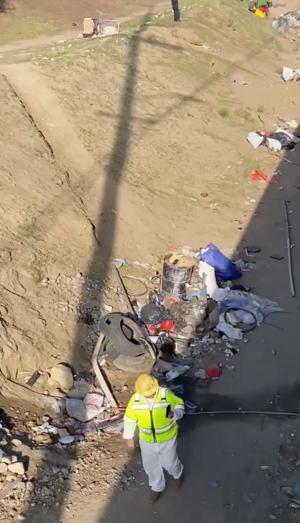 Freeway encampment crackdown takes disturbing turn as dozens arrested, dogs and chickens found