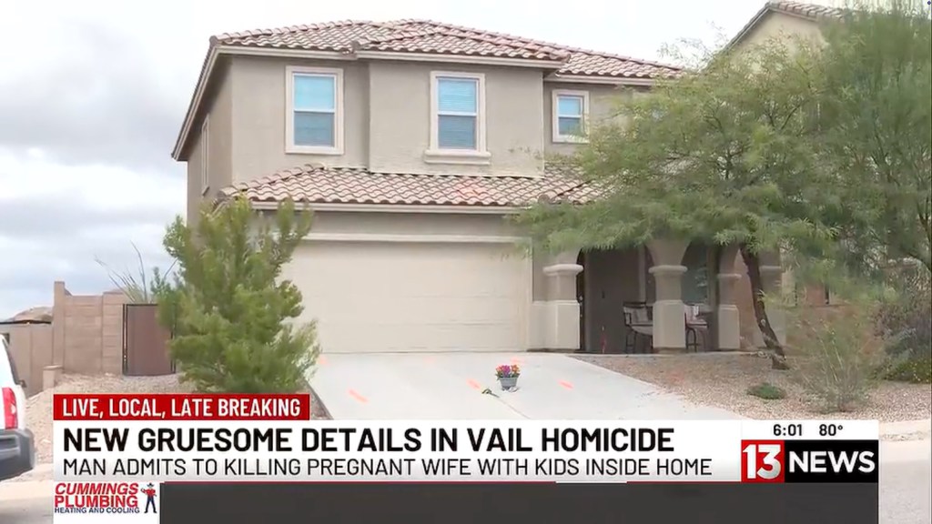 Deranged dad stabbed pregnant wife, then ran her over with their car to make sure she was dead: cops