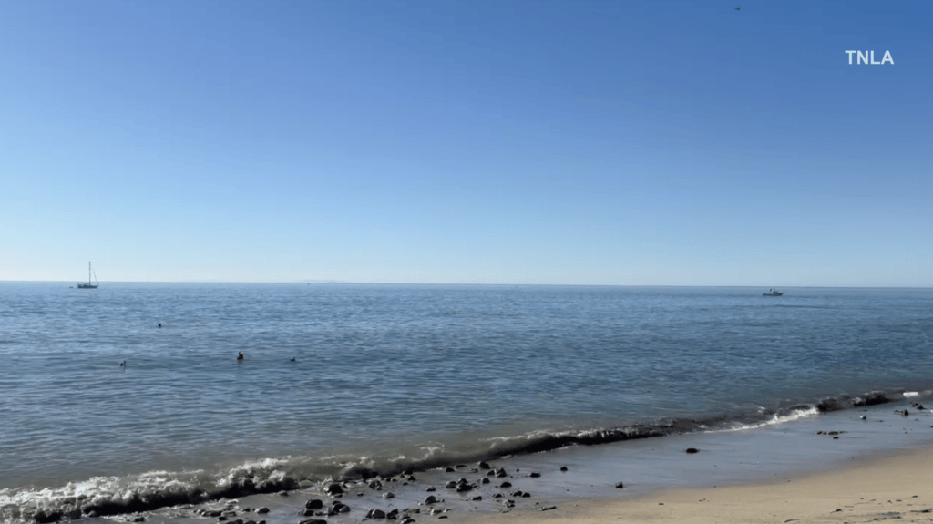 Kayaker attacked by a shark off Paradise Cove in Malibu as dramatic video emerges: report