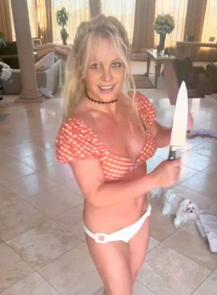 Lingerie-clad Britney Spears blasts parents over conservatorship: ‘Yes, I’m bitter’