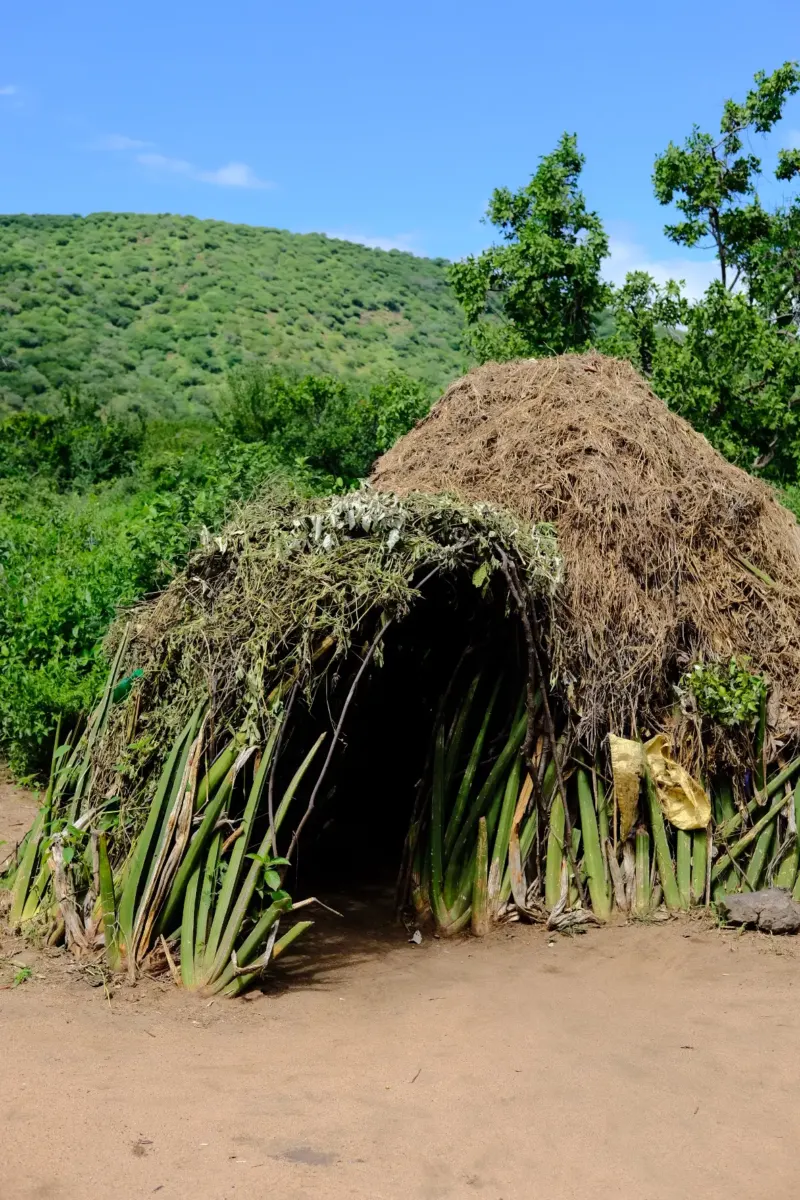 Man who visited Tanzanian tribe details 'crazy' feud with local hyenas after baby was stolen