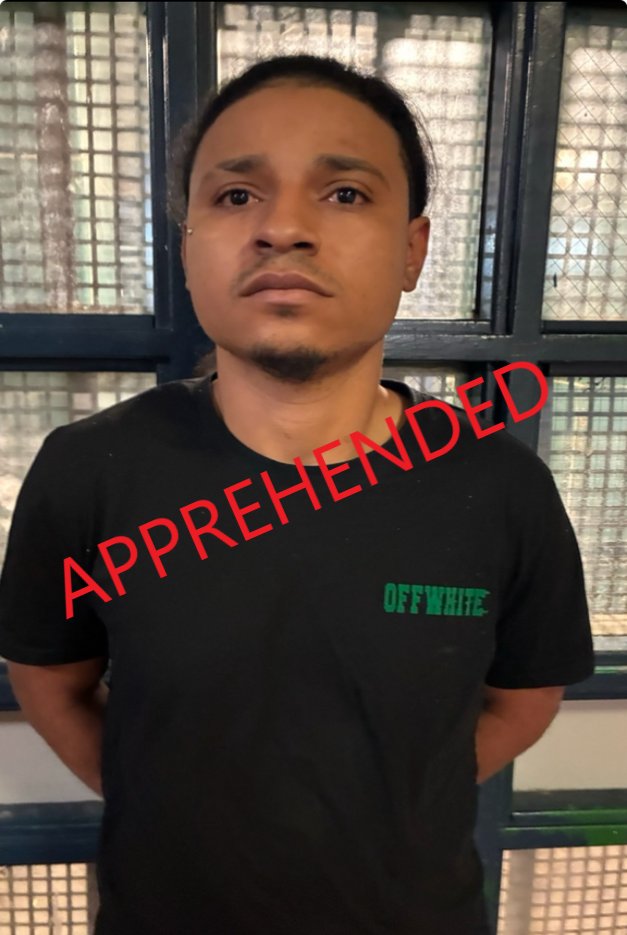 US Marshals bust hit-and-run driver who injured NYPD cop at rowdy NYC street gathering