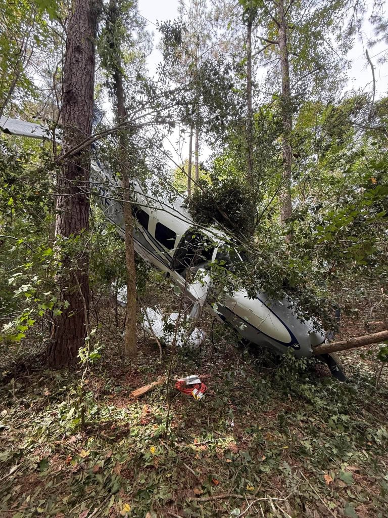 Pilot, wife and dogs survive dramatic tree-top crash landing after plane suffers engine failure: ‘Just pray’