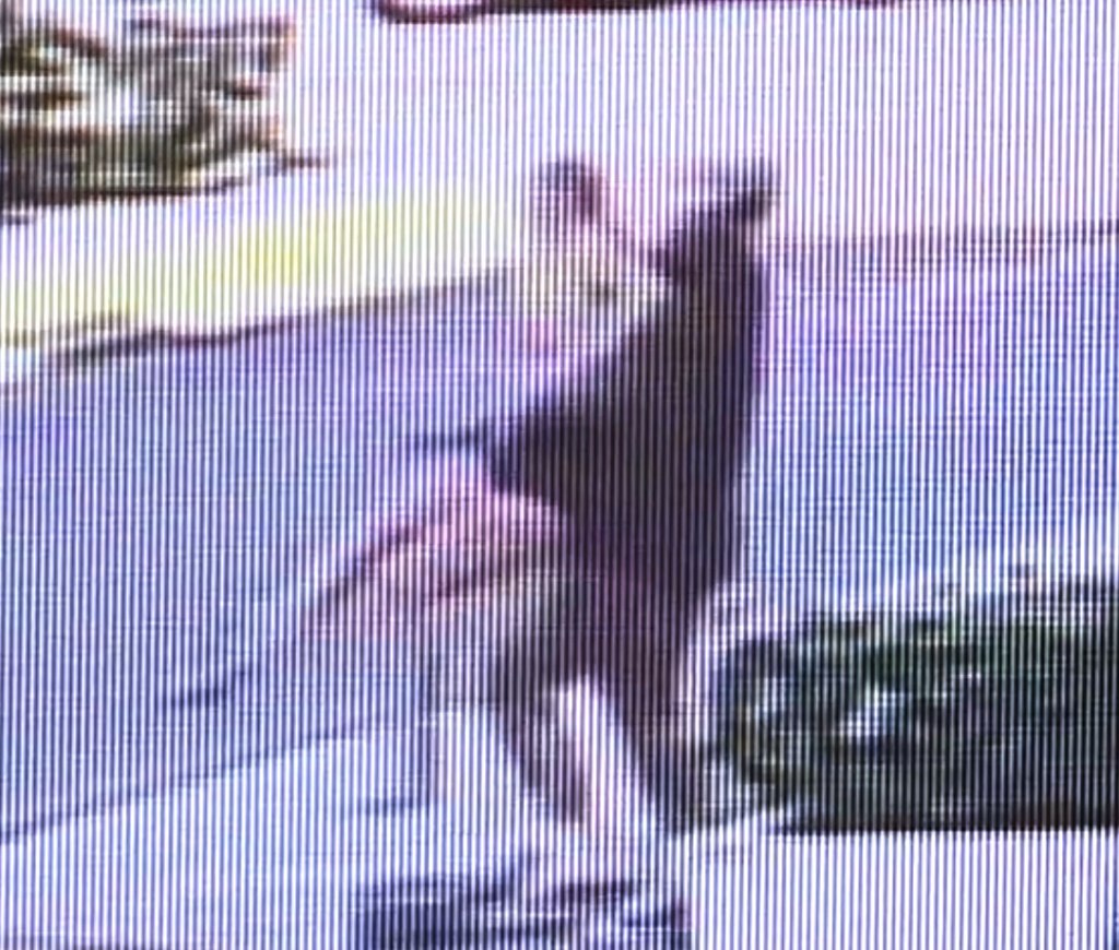 Terrifying moment towering thug allegedly kidnaps screaming woman in front of friend at popular resort