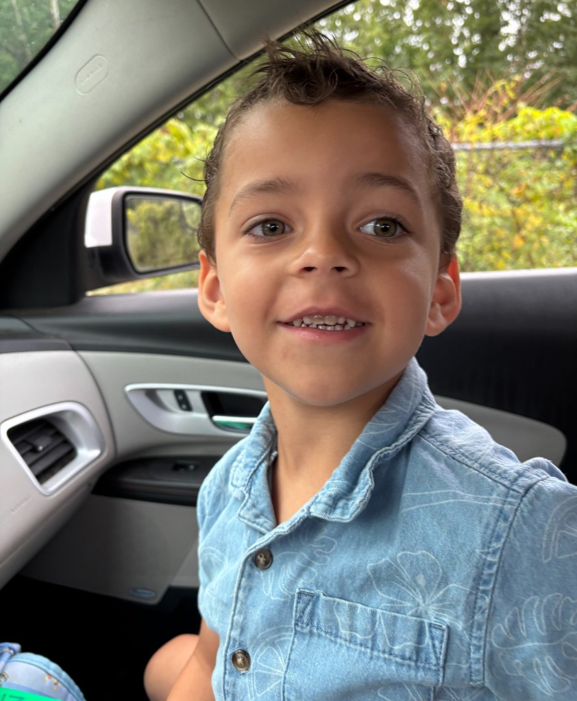 4-year-old boy mauled to death by American bully dog: ‘He didn’t deserve this’