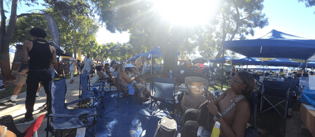 Music legend goes ballistic at SoCal festival after her show continued while woman’s body lay in park