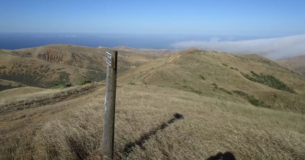 13,000-year-old bones found near SoCal coast could rewrite human history